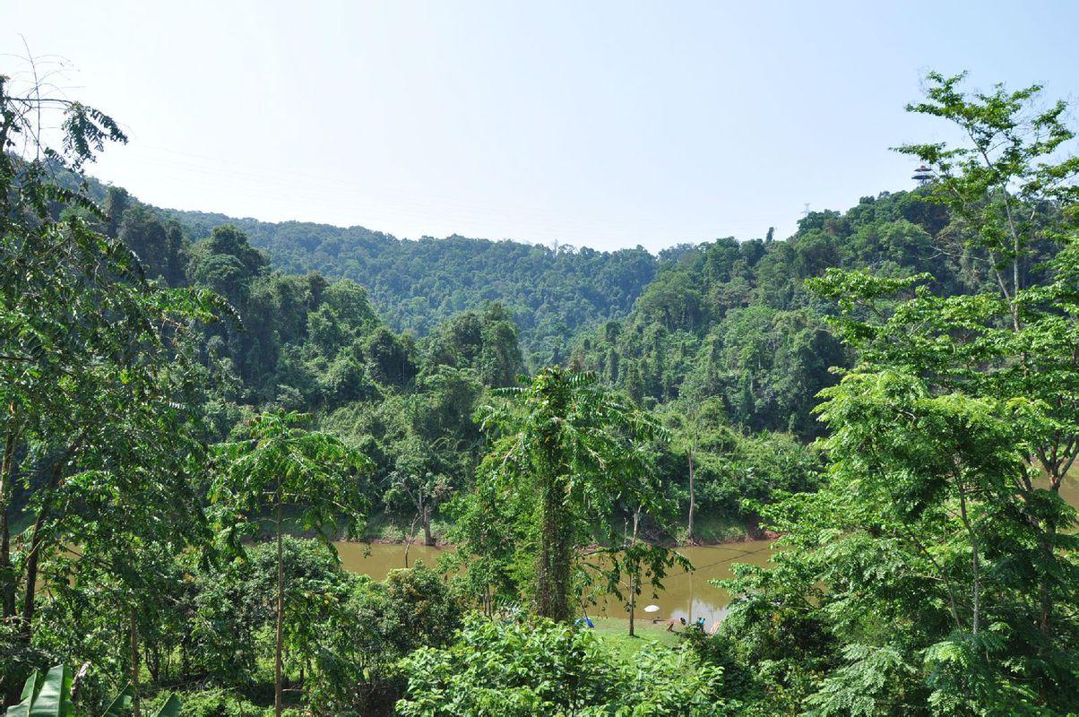 带你去看云南的西双版纳,云南到底有多滇