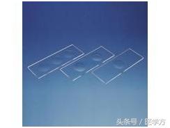 制作细胞爬片需要在细胞间做吗,细胞爬片操作步骤