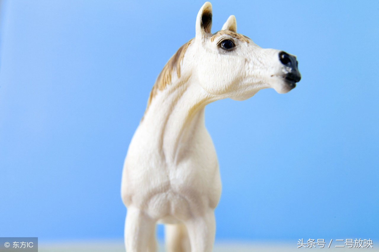 梦见马有哪些征兆全解,男人梦见马是什么征兆