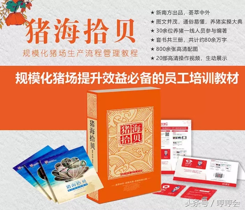 母猪产完仔后一般多久出胎衣,母猪先产胎衣正常吗