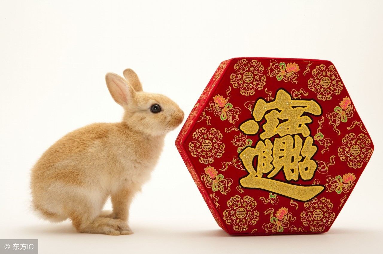 2024年87年兔的最佳三个贵人,属兔人2022年虎年财运