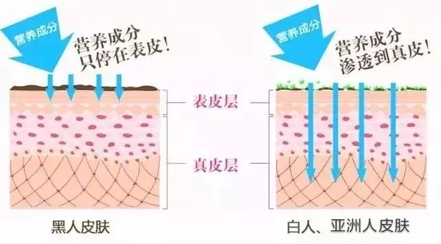 欧美护肤品适合亚洲人使用吗 (亚洲人适合日韩护肤品还是欧美的)