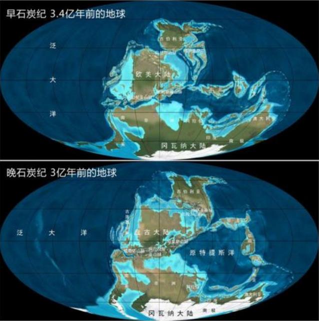 为什么石炭纪那么大,石炭纪煤炭