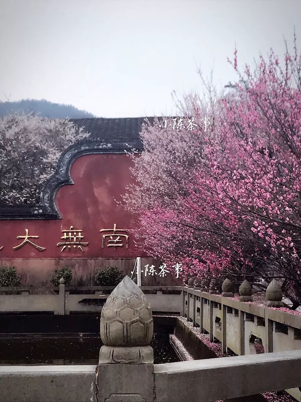 无论到哪里喝茶不能将就,喝茶的人不肯将就