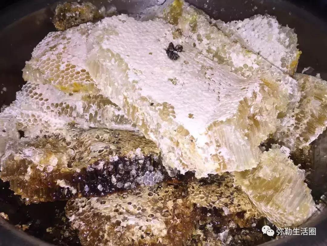 弥勒最好吃的清真餐馆炒菜,弥勒好的菜馆