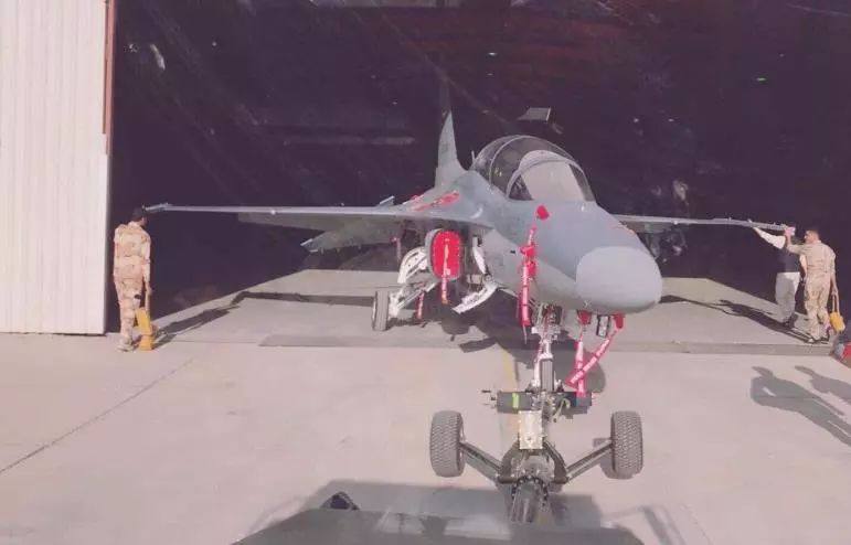 l-15椋炴満,鍥戒骇l-15a鎴樻満