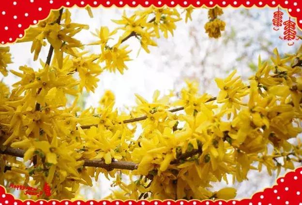 祝大家小年快乐万事如意健康平安,祝大家小年快乐开开心心幸福美满