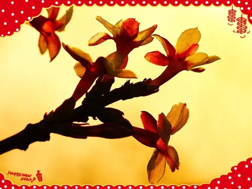 祝大家小年快乐万事如意健康平安,祝大家小年快乐开开心心幸福美满