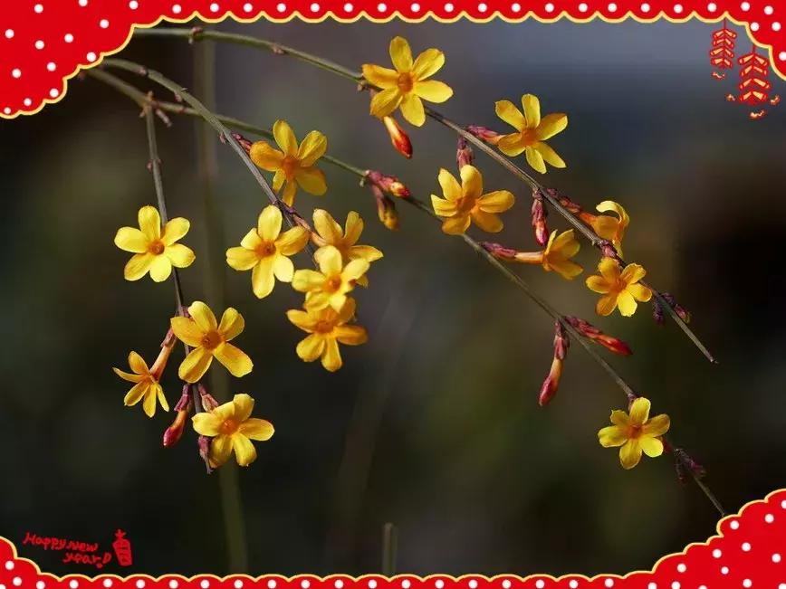 祝大家小年快乐万事如意健康平安,祝大家小年快乐开开心心幸福美满