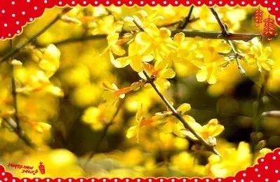 祝大家小年快乐万事如意健康平安,祝大家小年快乐开开心心幸福美满