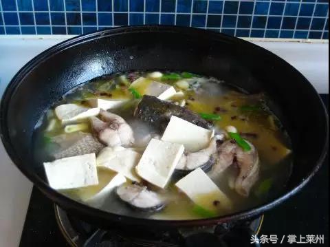 莱州三山岛有什么鱼,莱州三山岛渔港的鱼