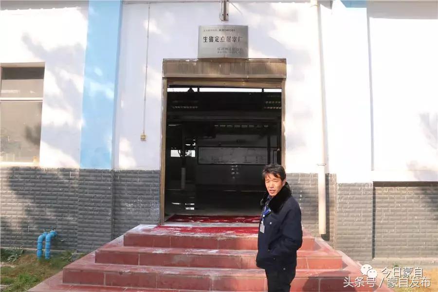 过年了,蒙自的这*猪种**肉千万别买!