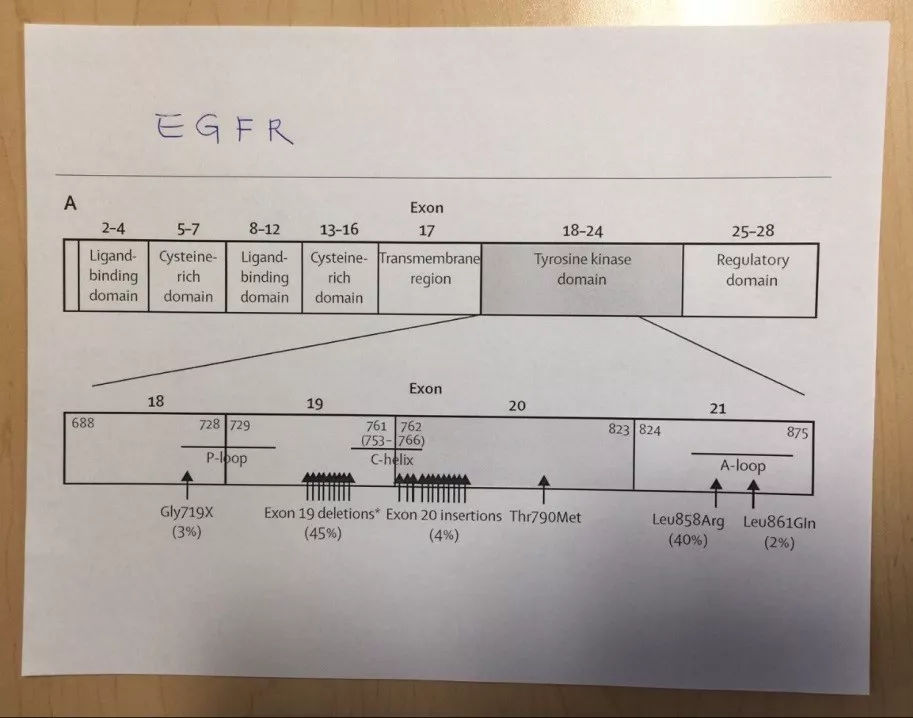 癌症有望在2025年突破治疗吗,未来5年癌症福音