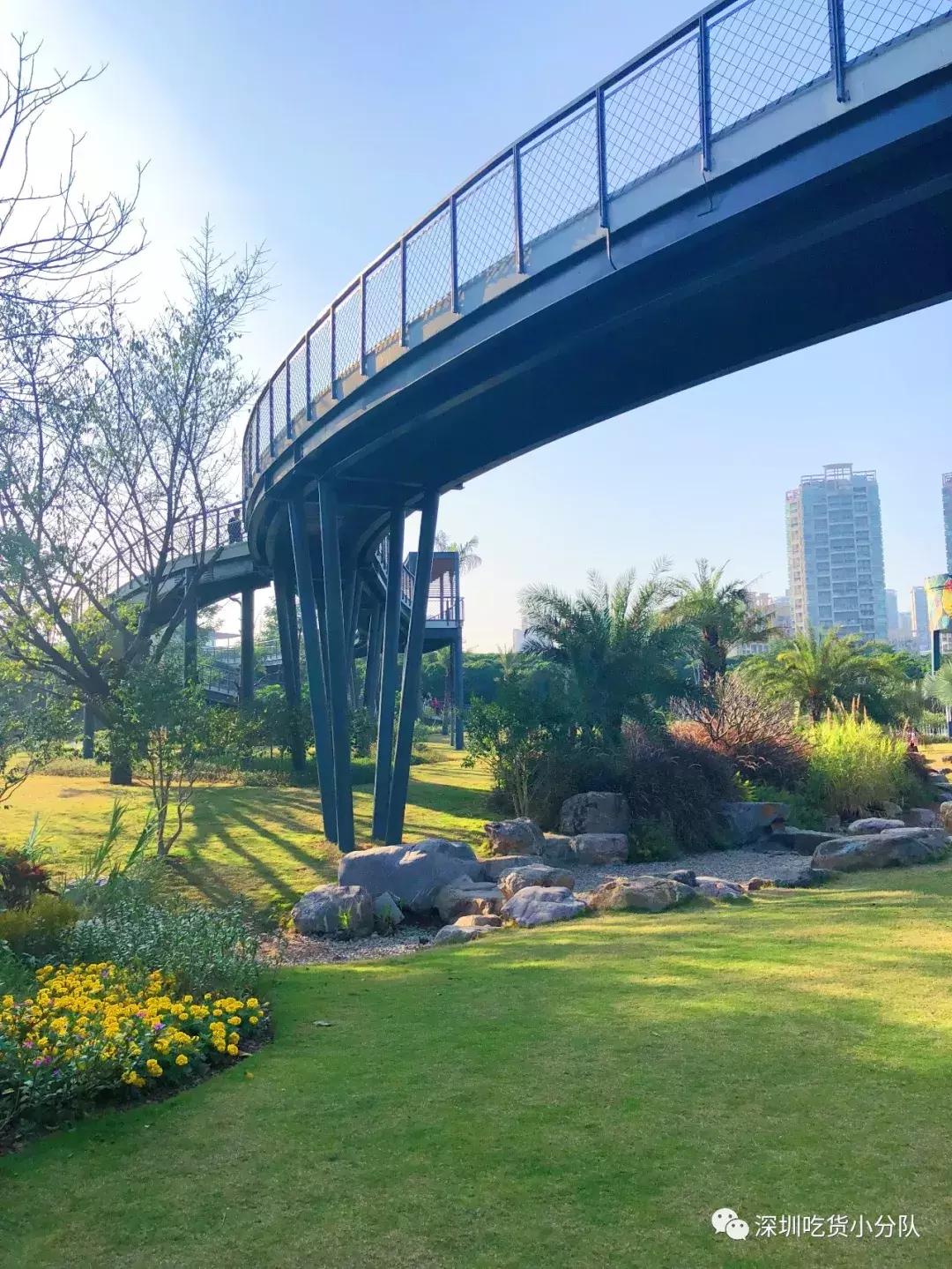 深圳福田结婚登记处环境,深圳最美结婚登记处