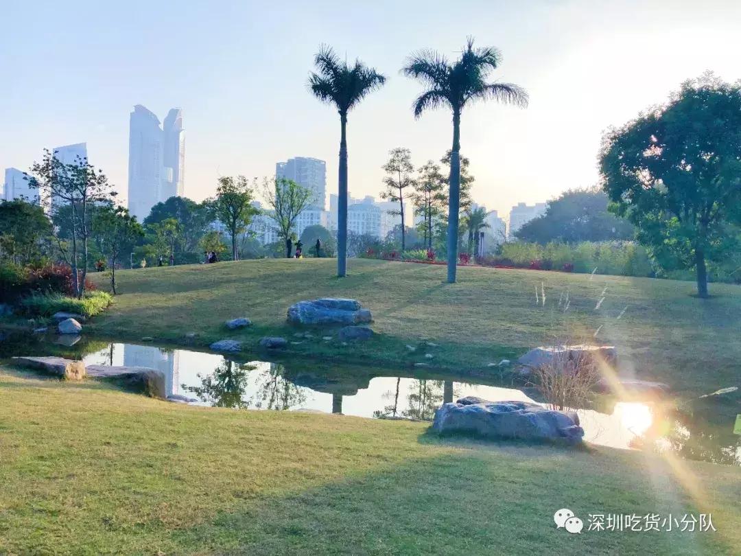 深圳福田结婚登记处环境,深圳最美结婚登记处