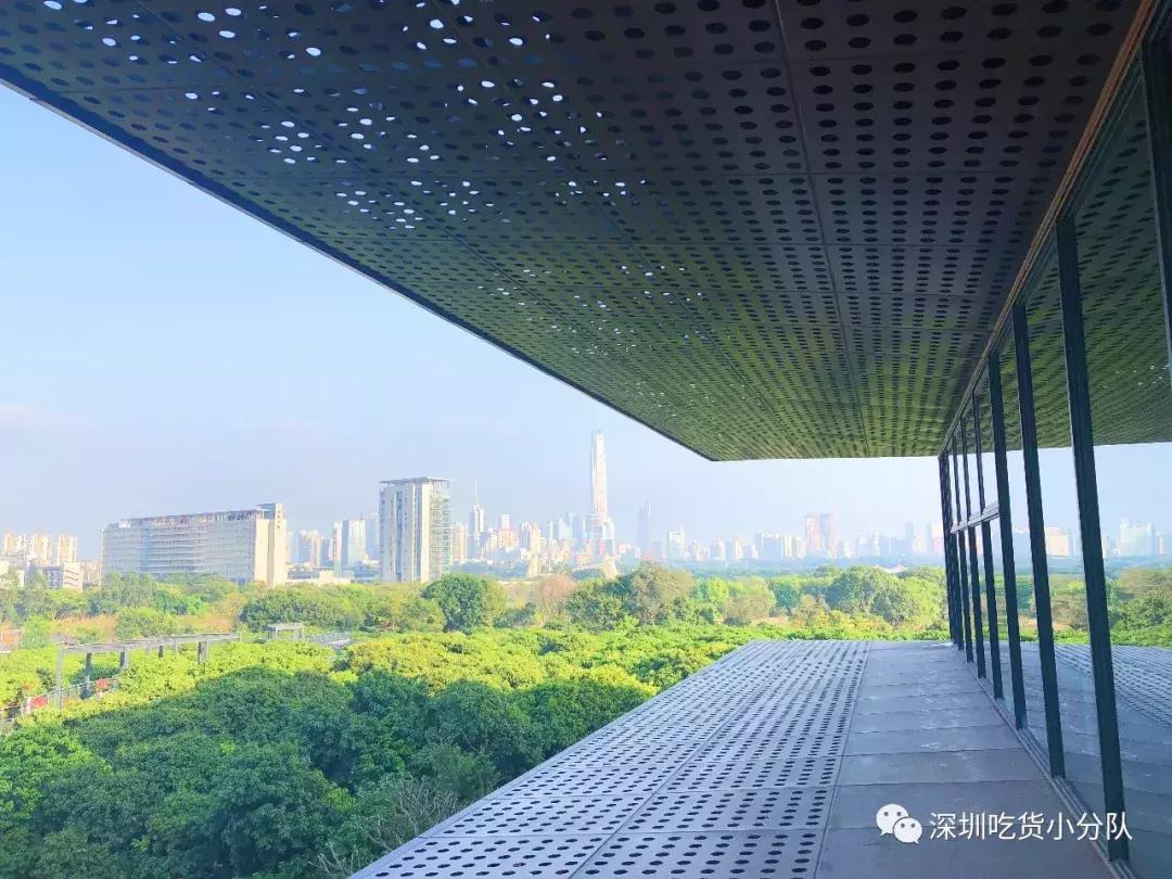 深圳福田结婚登记处环境,深圳最美结婚登记处