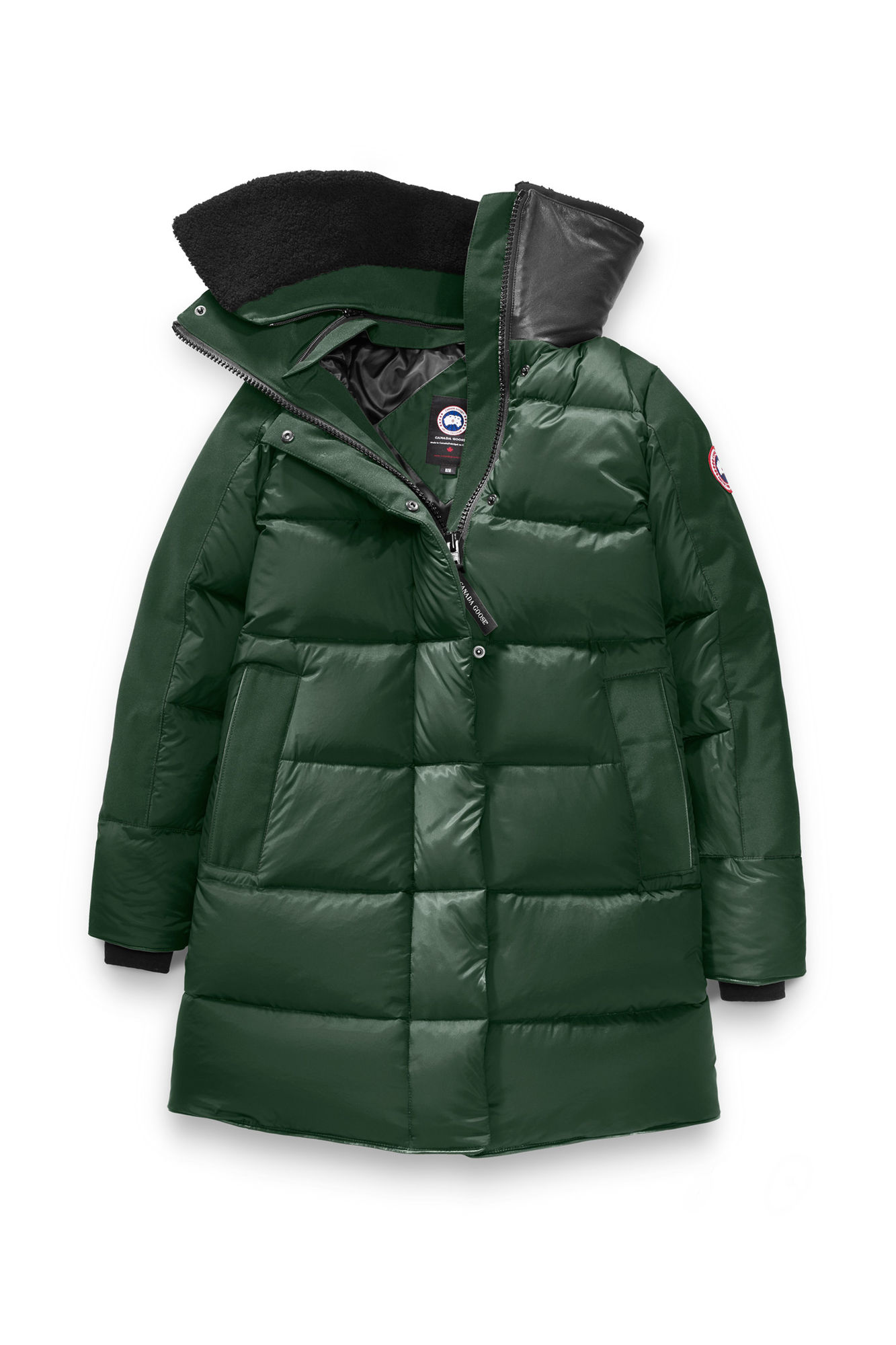 你轻易就买到的加拿大鹅，一定是假货