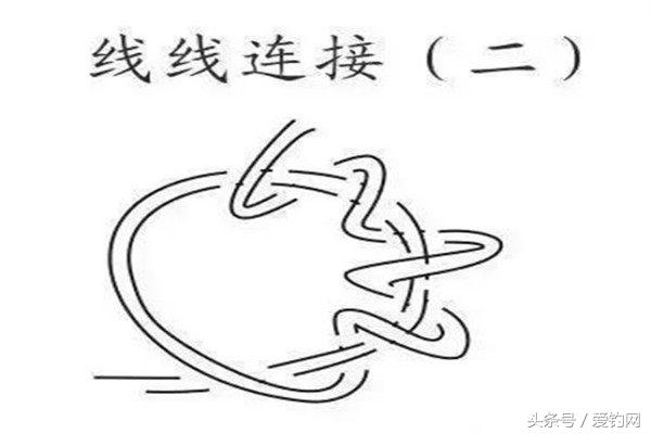 这几种绑线方法,钓再大的鱼也不会断!以前的绑法早过时了