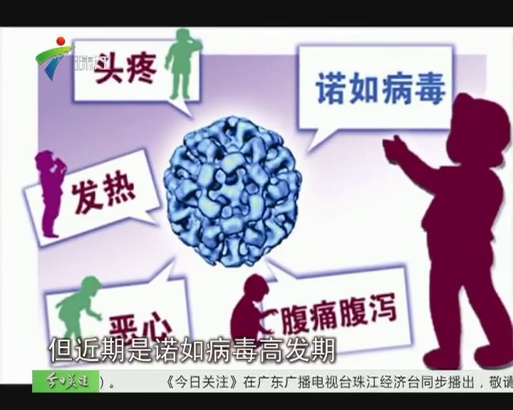诺如病毒是个什么鬼玩意?通过哪些途径传染?可能造成哪些疾病?