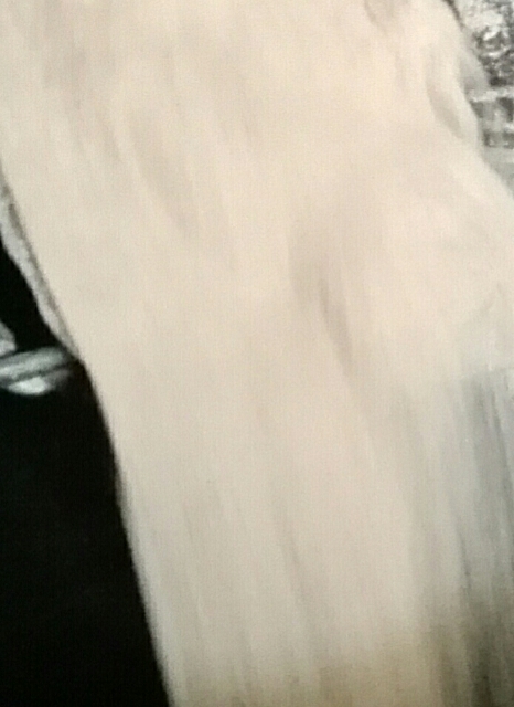 一篇新闻报道50字,一篇报道决定一亿人的命运