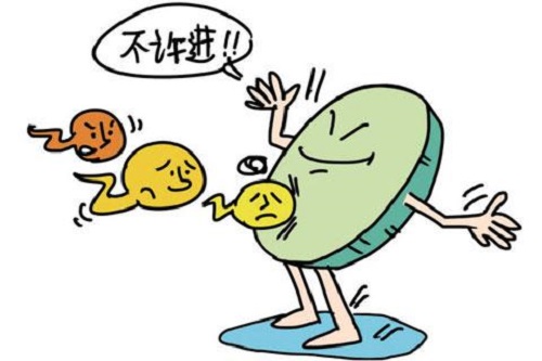 胎儿在母体中的日日夜夜（一）