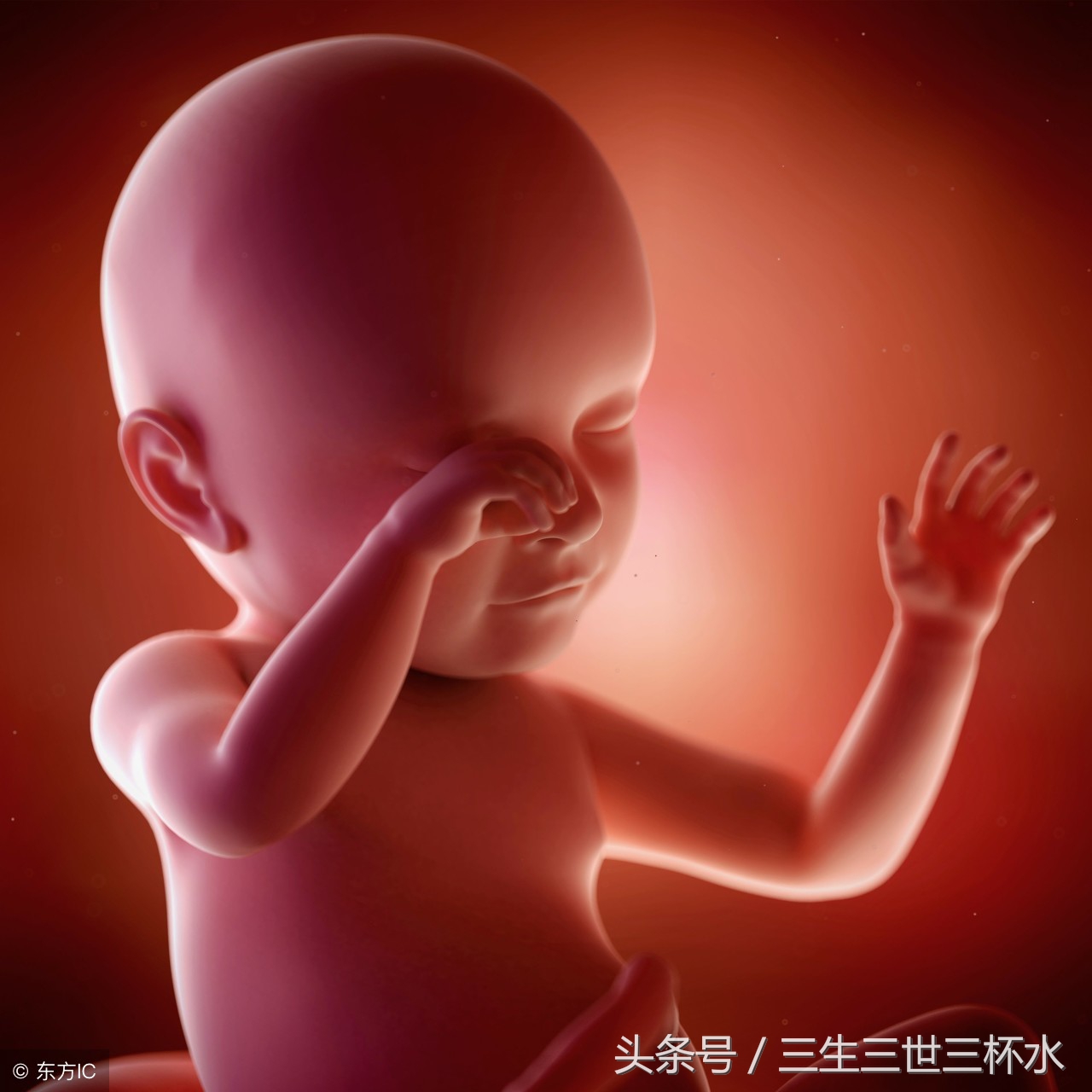 如何判断胎儿长得慢还是停胎,胎儿发育慢和停胎有什么区别