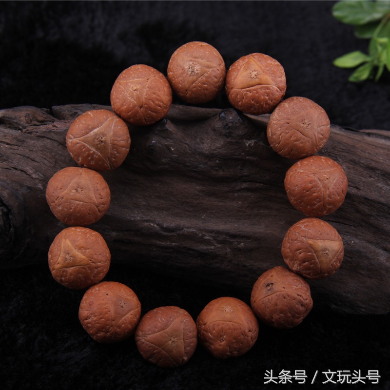 每个人的心中都有一颗星星,每个人的心中都有一串菩提