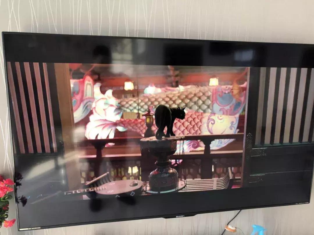 爸妈结婚纪念日送什么礼物好 (父母礼物实用型推荐)