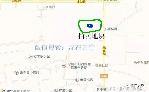 一锤定音拍卖,一锤定音拍卖会视频