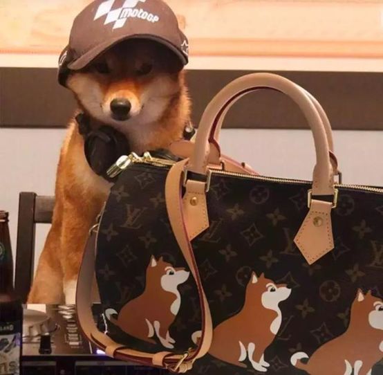 辣眼睛!你们国际大牌是不是对中国狗年有什么误解?