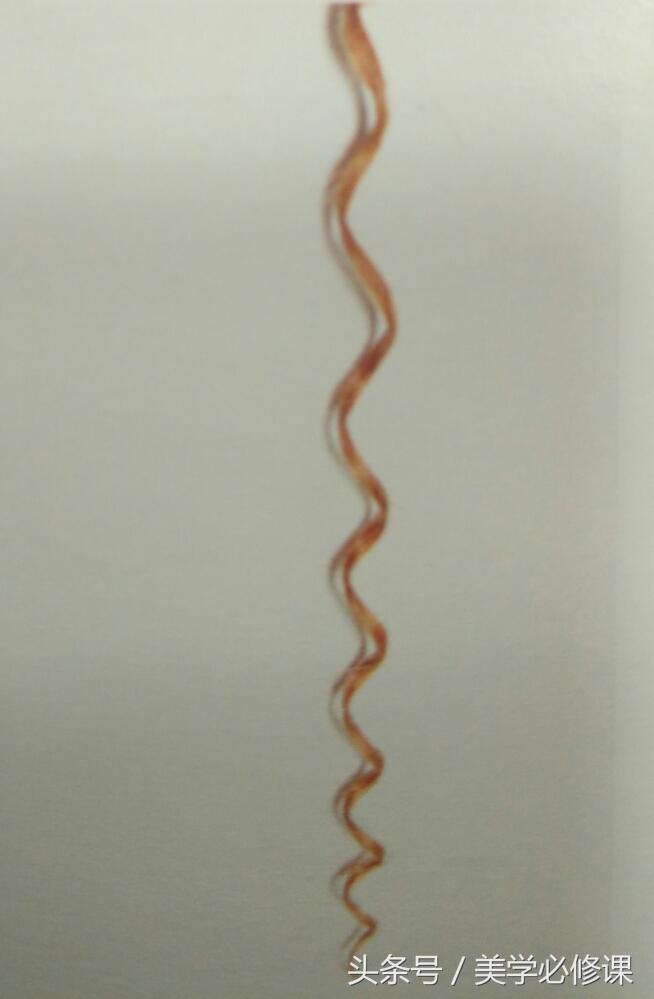 烫发课程一般教什么,烫发练习标准流程