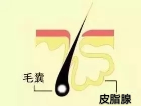 欧美护肤品适合亚洲人使用吗 (亚洲人适合日韩护肤品还是欧美的)