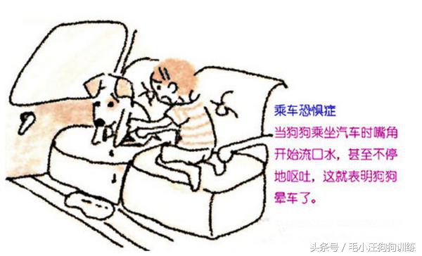 带着狗狗出去玩回来后一直大喘气,带狗狗野游狗狗感觉到危险