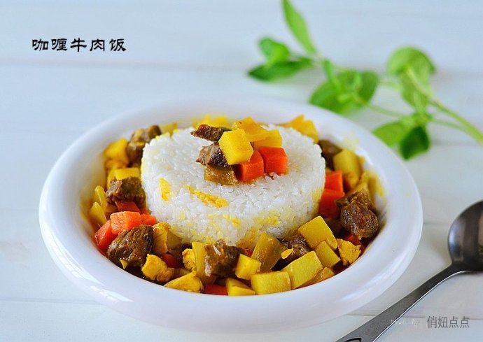 正宗印度咖喱牛肉饭做法视频,咖喱牛肉饭怎么做孩子爱吃