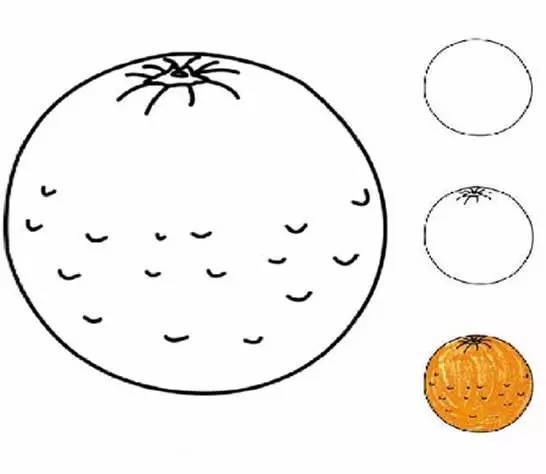 儿童简笔画大全图片水果涂色,秋天成熟的水果有哪些简笔画