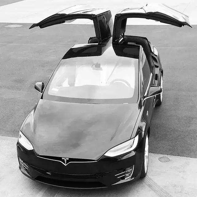 火爆全网的马斯克,马斯克霸屏