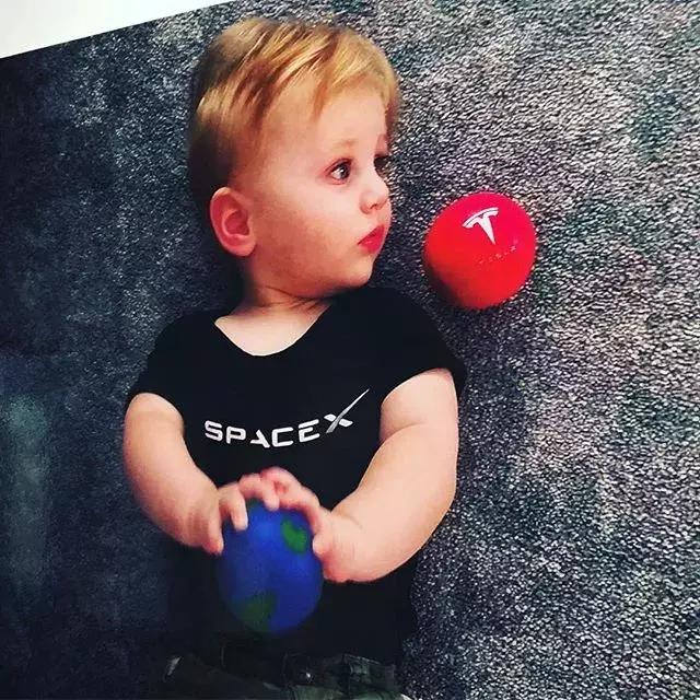 火爆全网的马斯克,马斯克霸屏