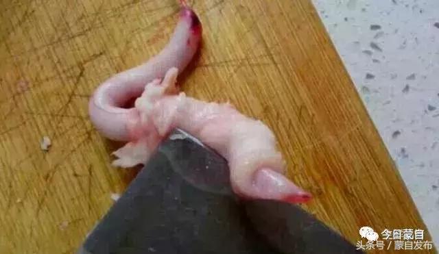 过年了,蒙自的这*猪种**肉千万别买!