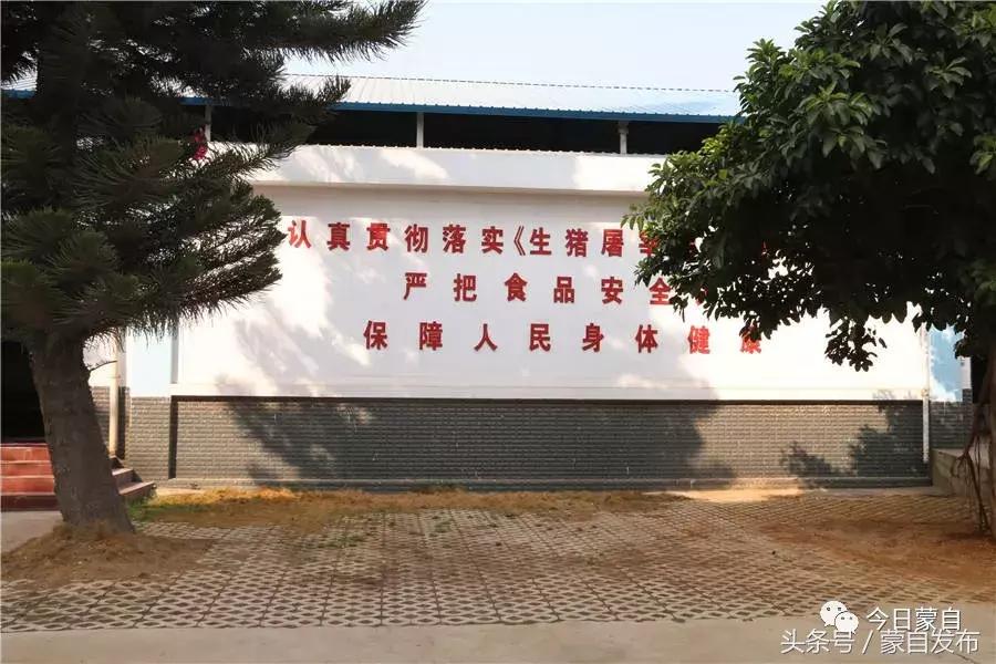 过年了,蒙自的这*猪种**肉千万别买!