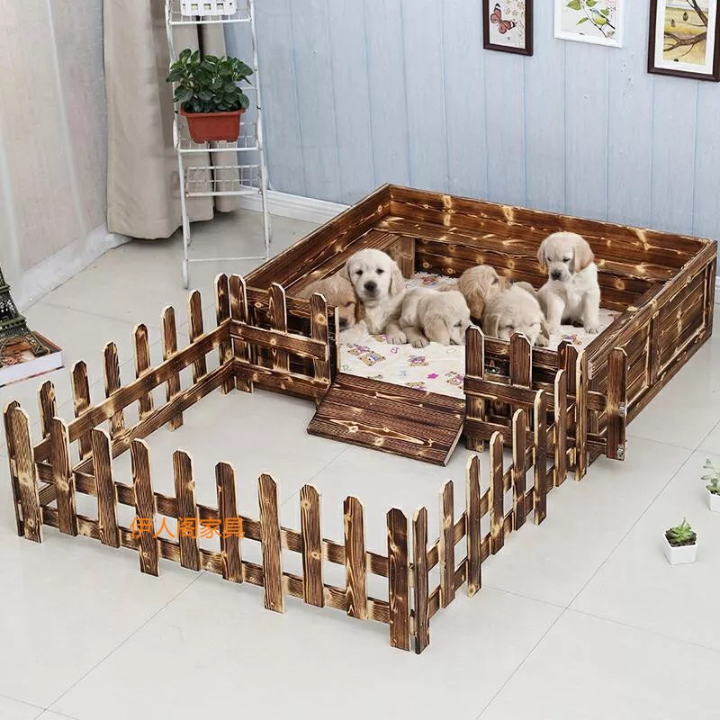 狗狗生产准备什么东西,狗狗生产准备工作