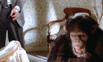 毛晓彤情商有多高,毛晓彤高情商