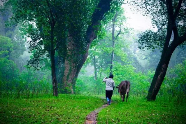 南昌附近小众露营看日出日落,南昌到广州自驾游有哪些景点好玩