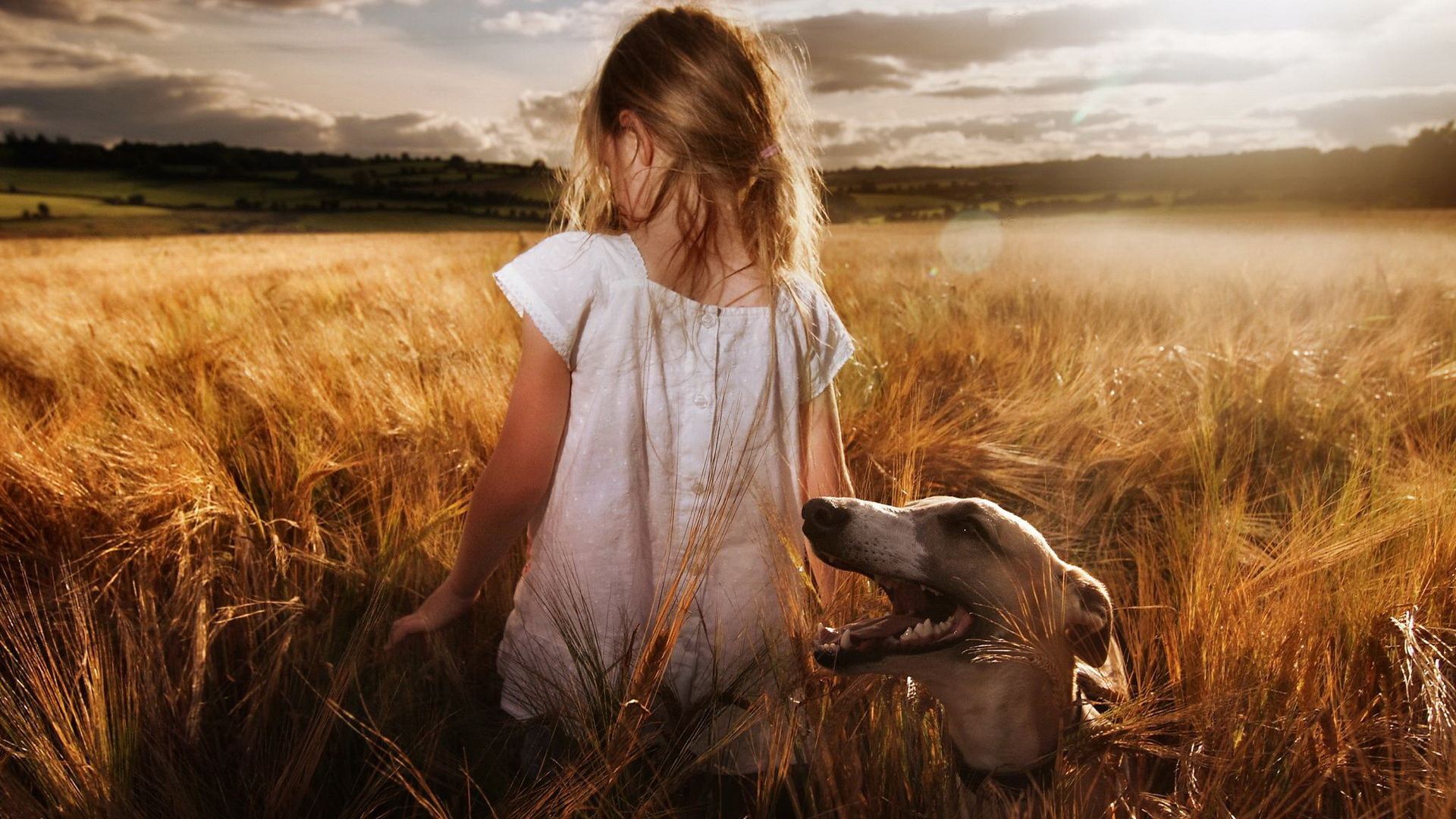 带狗字的成语是什么,关于带狗的成语大全