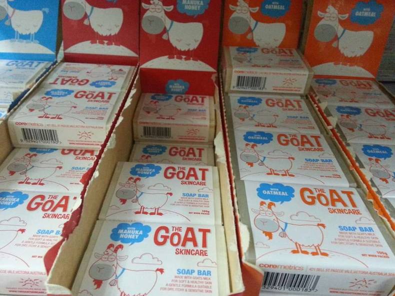 这只小山羊为什么敢跟狗较量,澳洲小山羊