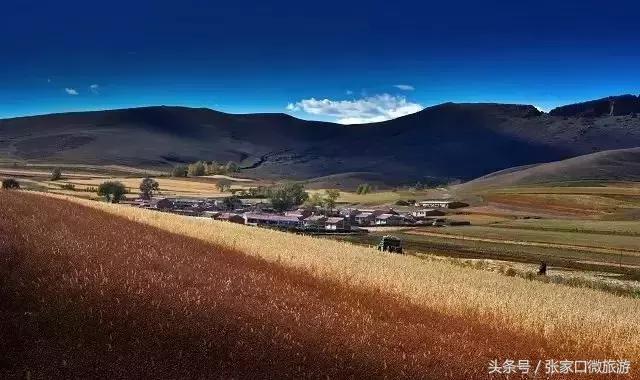 张北草原天路现在的景色,张家口张北草原天路攻略