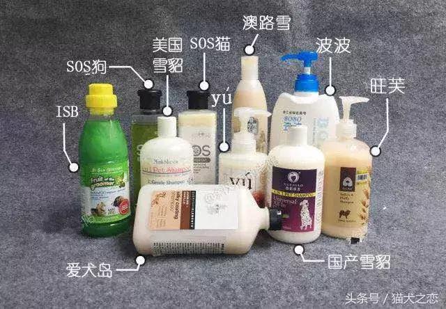 petwish宠物沐浴露怎么样,amopetric宠物沐浴露