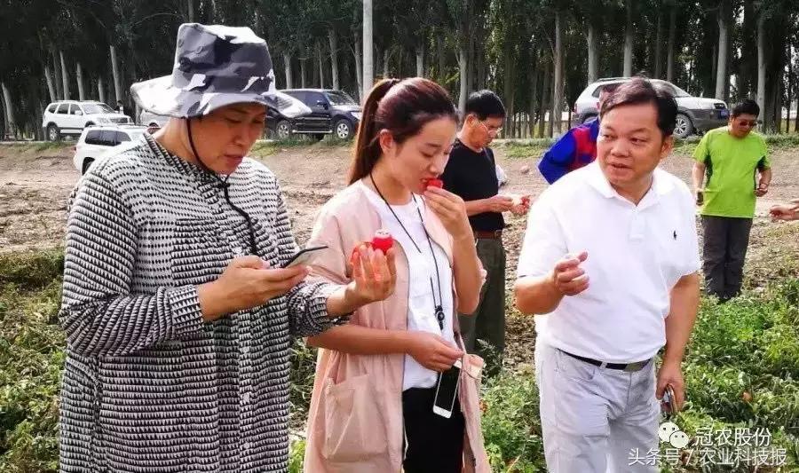 从传统商业模式到电商的转型范文,从农民到百亿创业靠红枣翻身