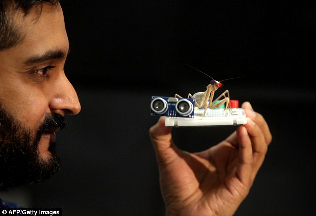 真实的科幻小说：人体细胞培育骨骼，人脸识别墨镜让逃犯无处可逃