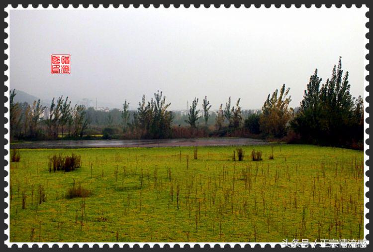 邛海公园旅游攻略,邛海旅游攻略酒村