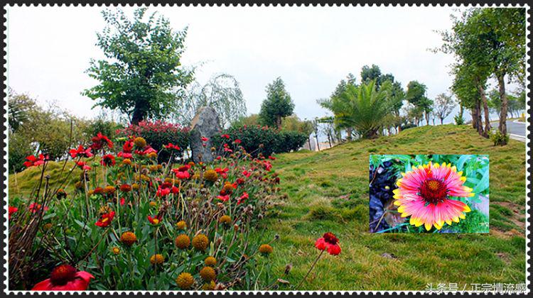 邛海公园旅游攻略,邛海旅游攻略酒村